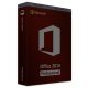 Office 2010 Professional