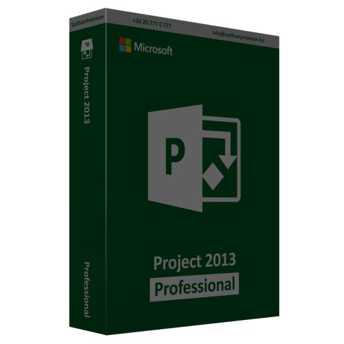 Project 2013 Professional