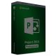 Project 2013 Professional