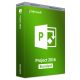 Project 2016 Standard