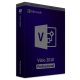 Visio 2010 Professional