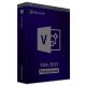Visio 2013 Professional
