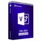 Visio 2021 Professional