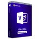 Visio 2024 Professional