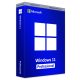 Windows 11 Professional